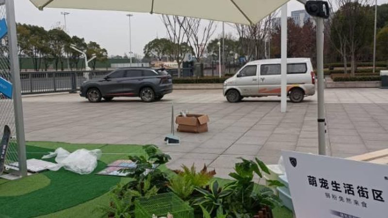 展台搭建尺寸规格：揭秘搭建背后的科学